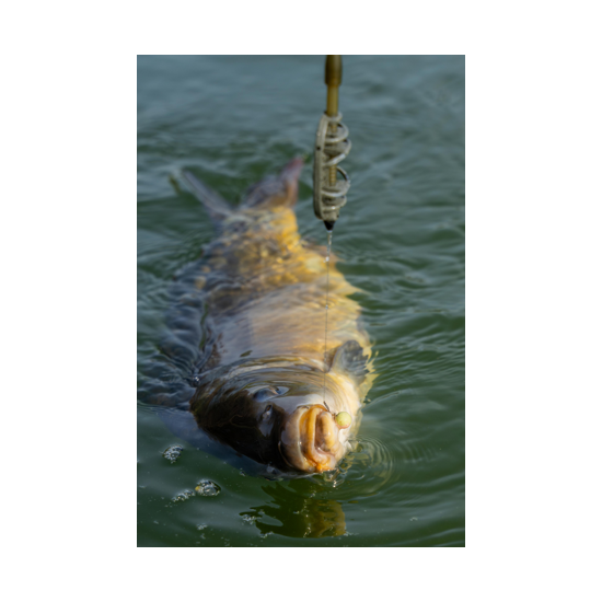 Wafter Sonubaits - Spike'um Wafter Meaty Mussel 8mm